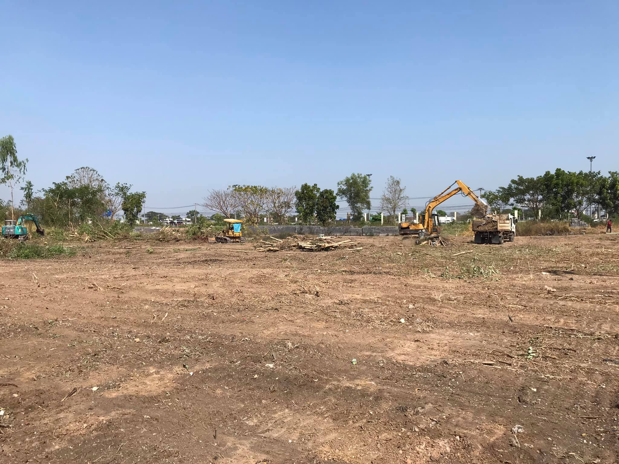 ปูยางมะตอย